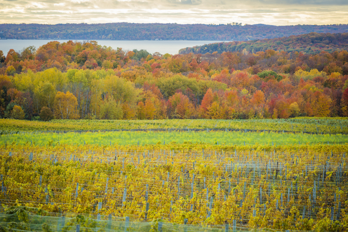 family-fun-in-traverse-city