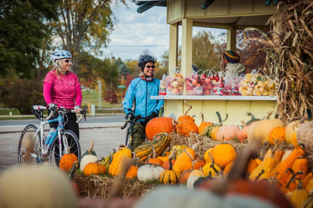 family-fun-in-traverse-city