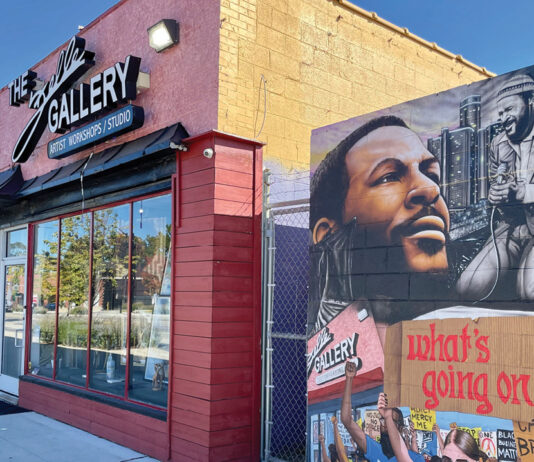 detroit-avenue-of-fashion-family-guide-photo-credit-the-felle-gallery