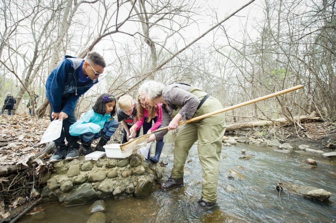 love-of-learning-students-teacher-investigating-wetlands