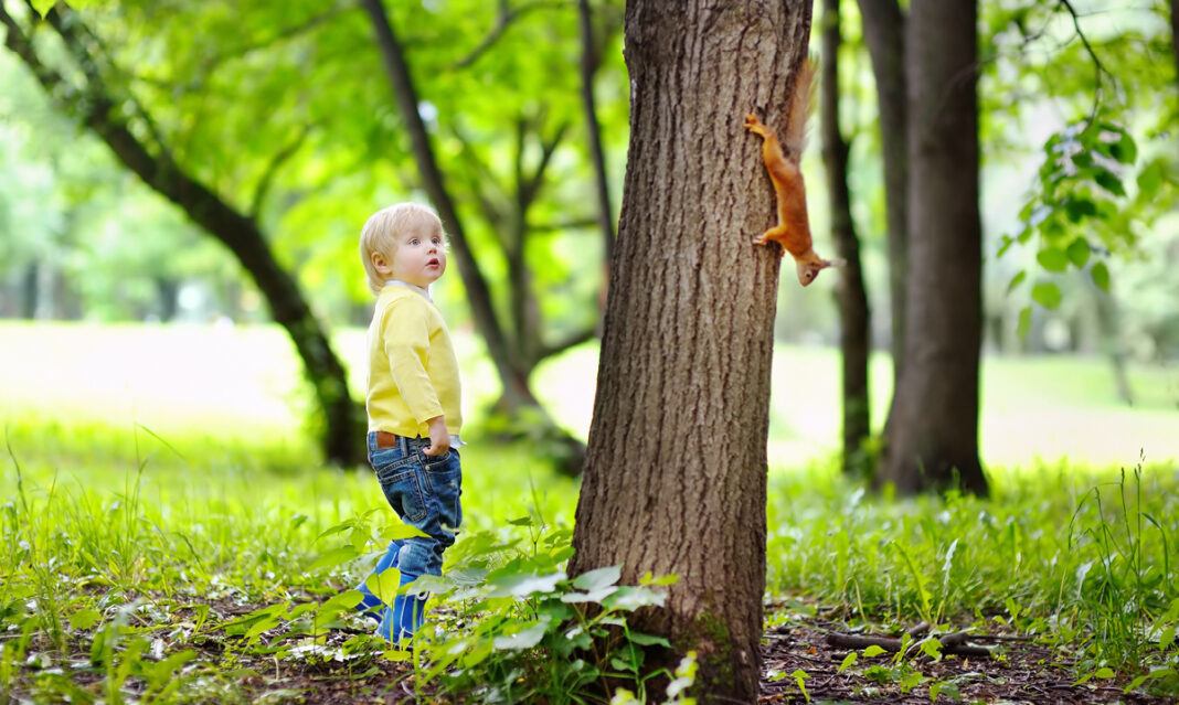 backyard-animals-little-boy-watching-a-squirrel-in-springtime