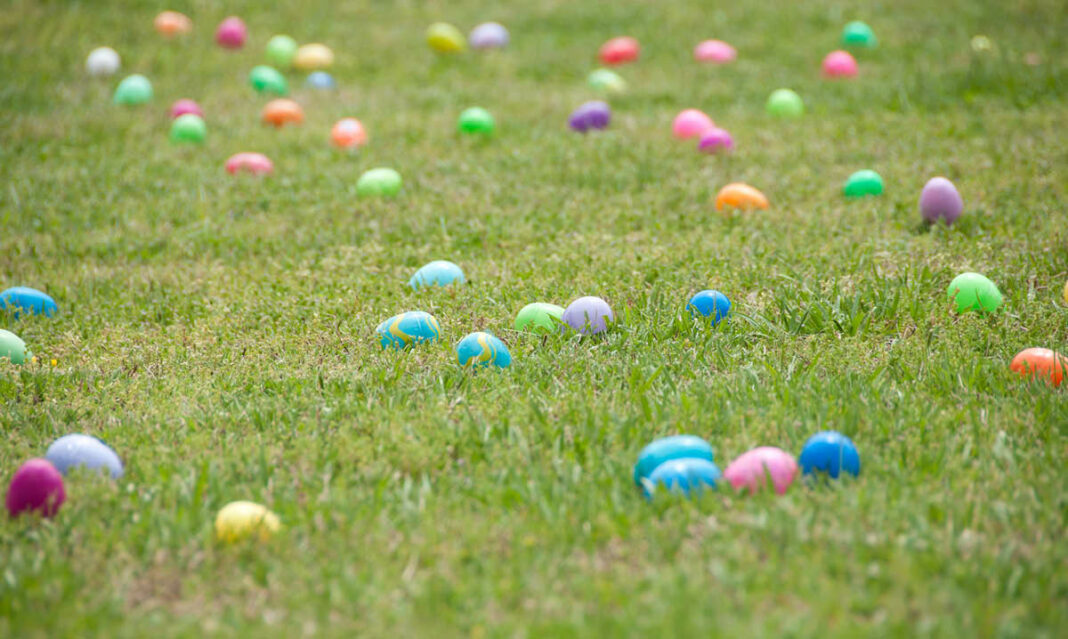 Egg Hunt