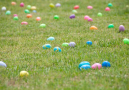 Egg Hunt