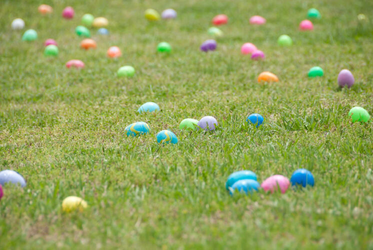 Egg Hunt
