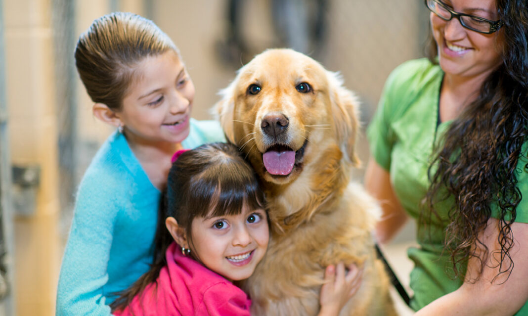 macomb-county-animal-control-family-adopting-dog