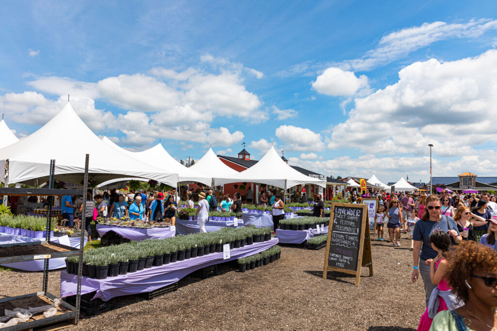 best events in metro detroit for families