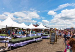 best events in metro detroit for families