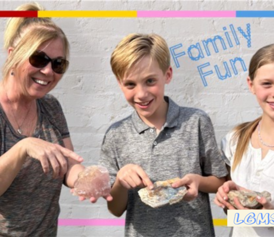 The Livingston Gem & Mineral Society / Rockhound’s Dream Show at Hartland Educational Support Service Center in Howell