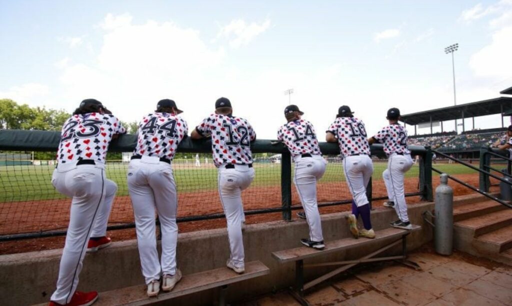 Minor league baseball teams metro detroit