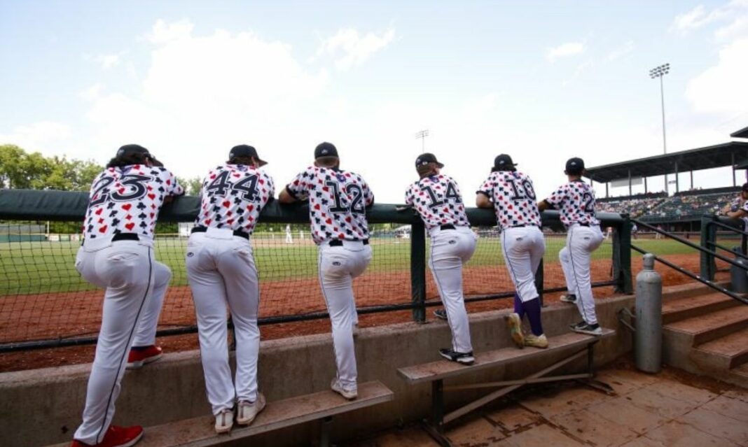 Minor league baseball teams metro detroit