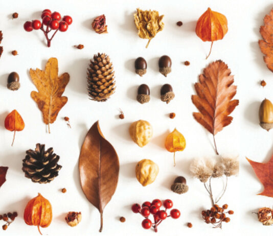 Fall Sensory Activities for Kids