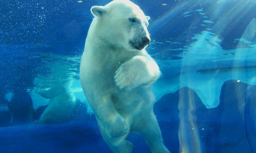 Detroit zoo with kids