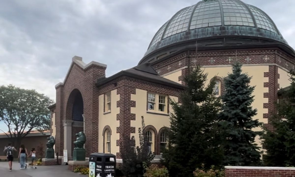 Detroit zoo with kids