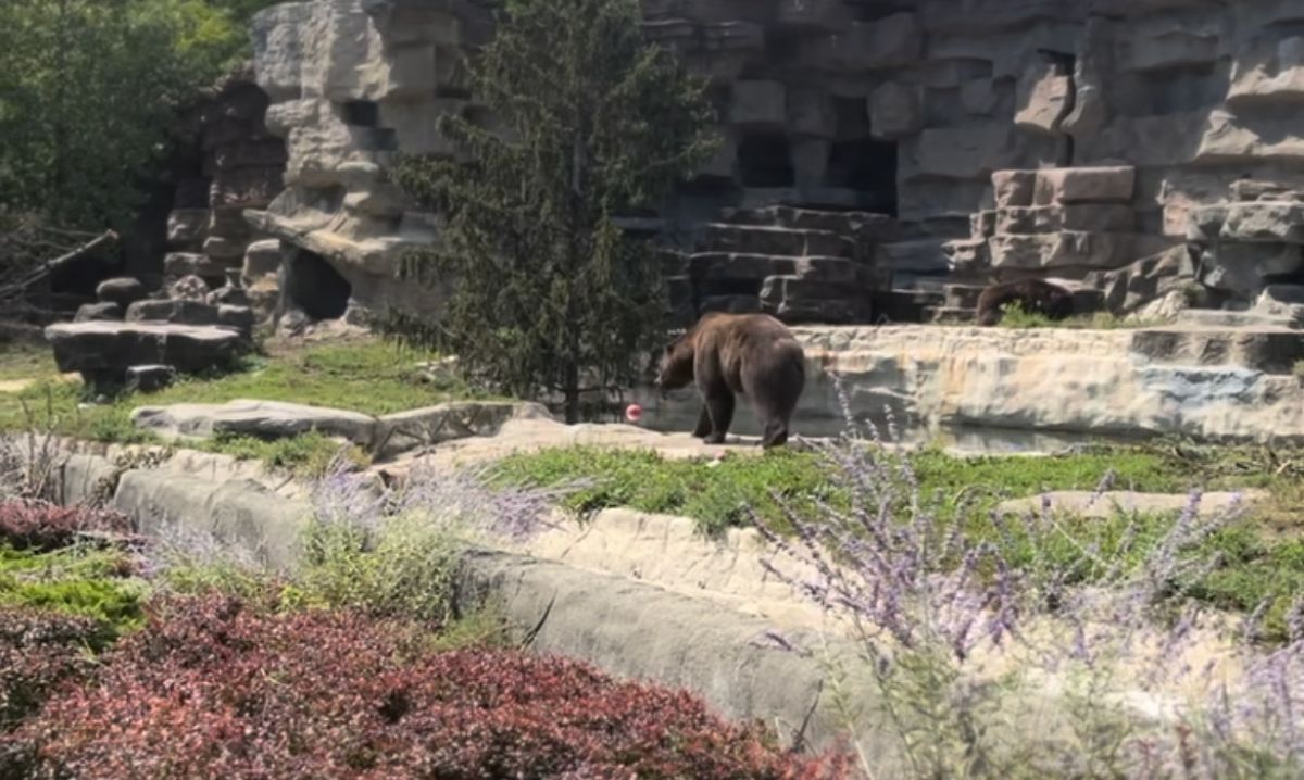 Detroit zoo with kids