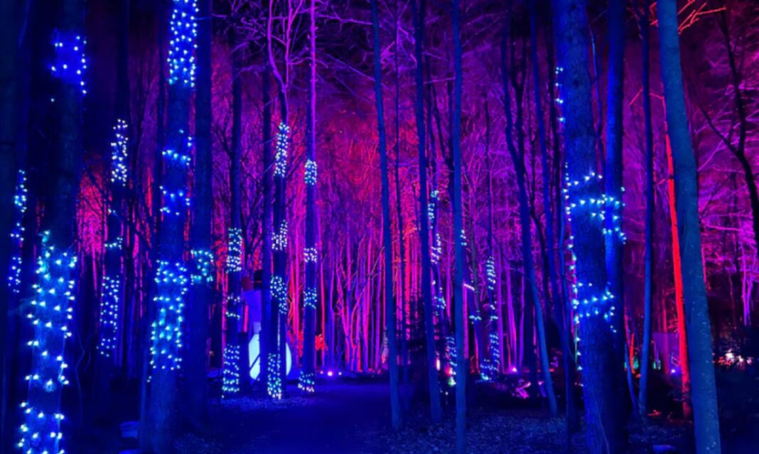 AURORA a Winter Wonderland