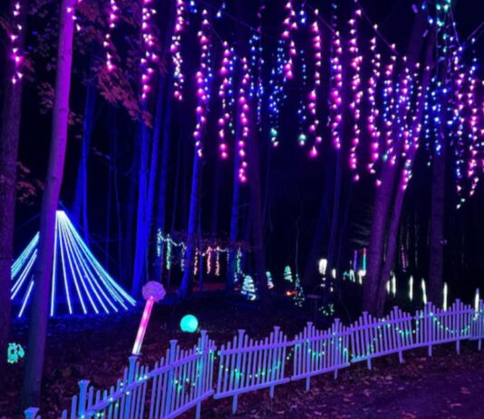 AURORA a Winter Wonderland