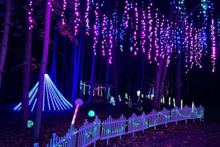 AURORA a Winter Wonderland