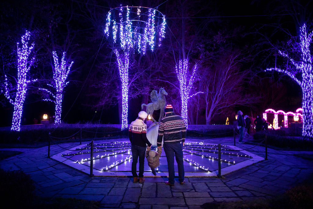 Winter Wonder Lights