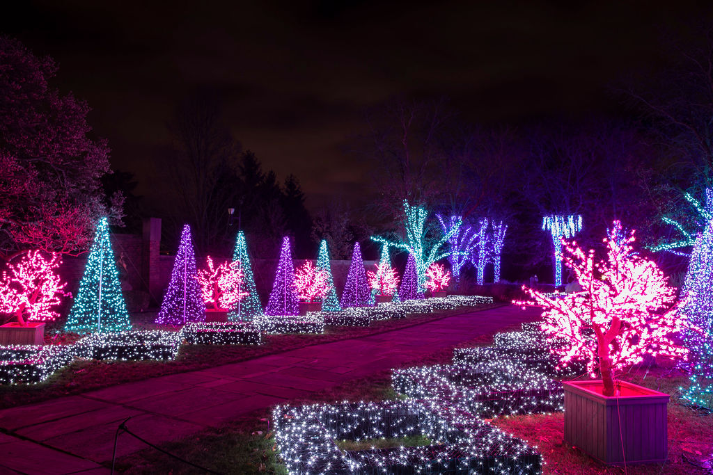 Winter Wonder Lights