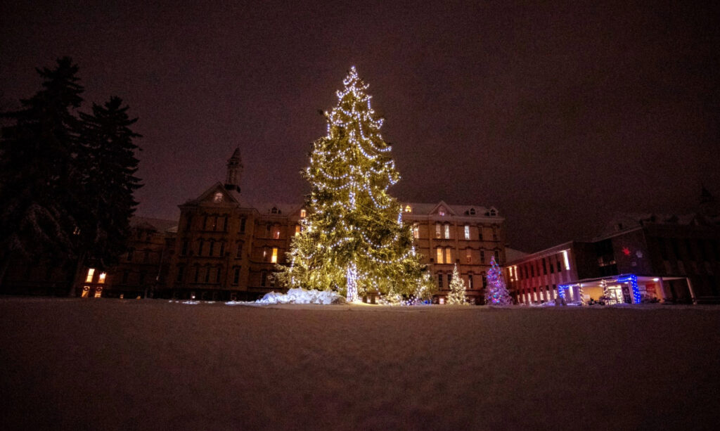 Christmas tree in Traverse City