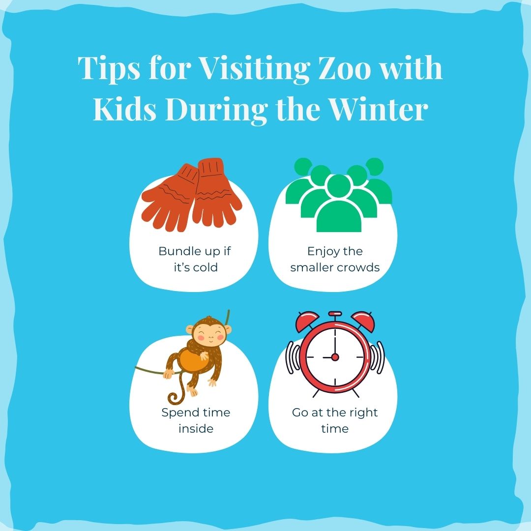 Visiting Zoo with Kids Tips