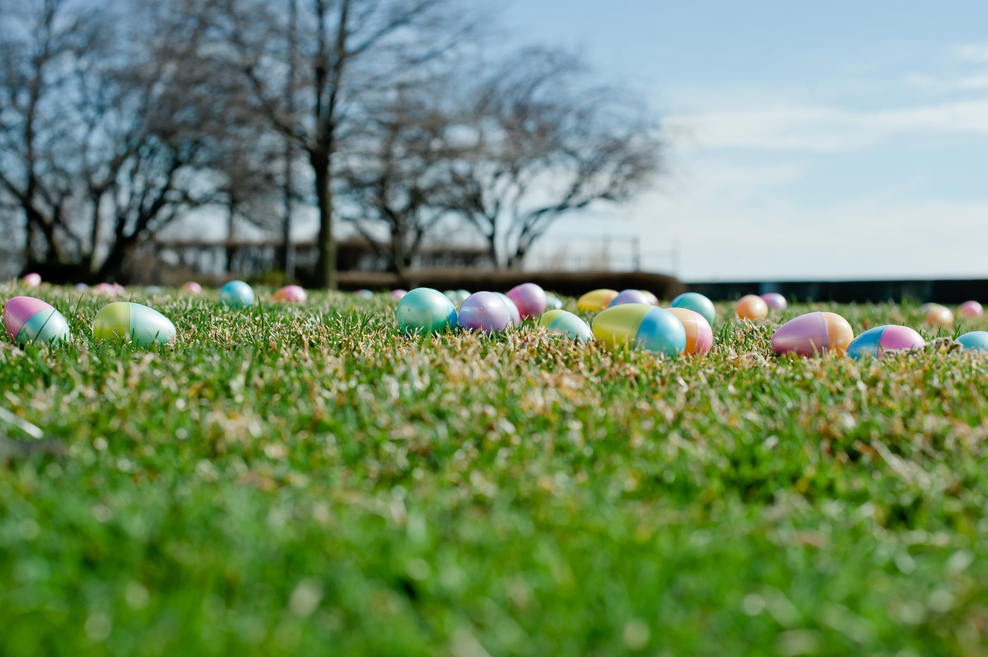 Bunny Brunch and Helicopter Egg Drop! at The War Memorial