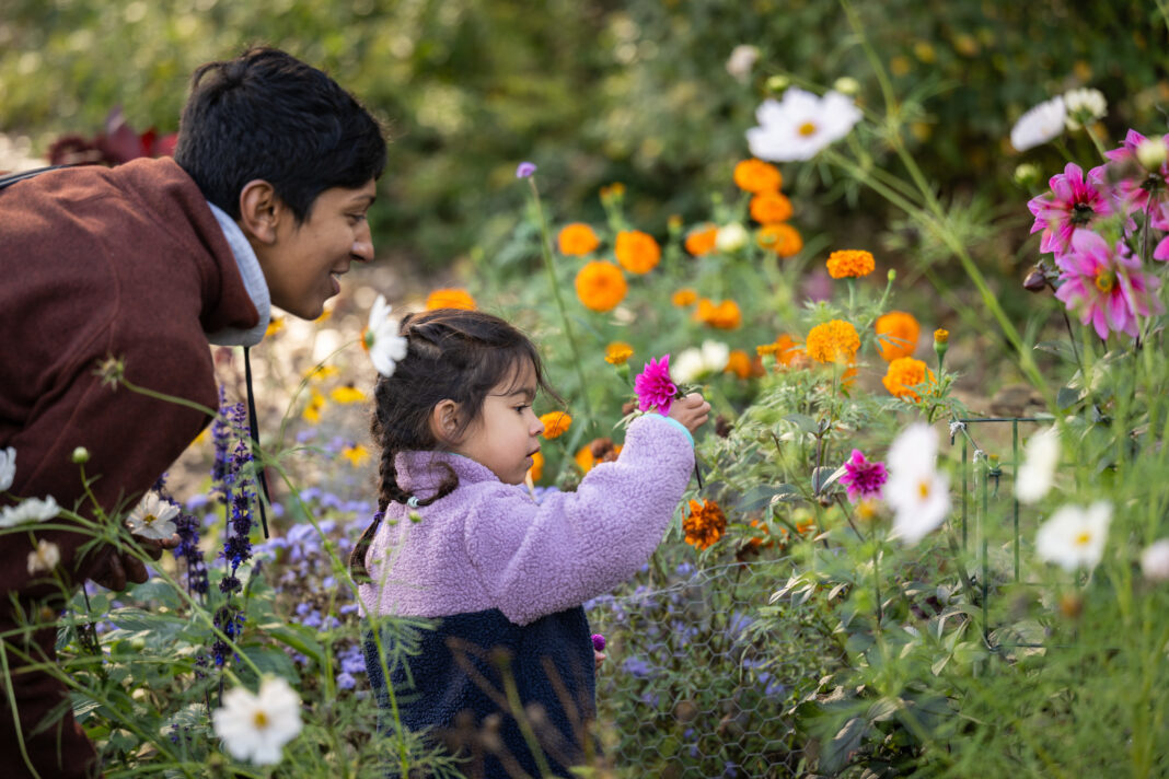 A parent and child enjoy a hands-on exploration of colorful flowers in a vibrant garden. The child holds a bright pink flower while the parent observes with a smile, surrounded by blooming orange, pink, and white flowers.