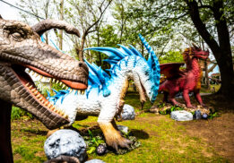 Dino and Dragon Stroll