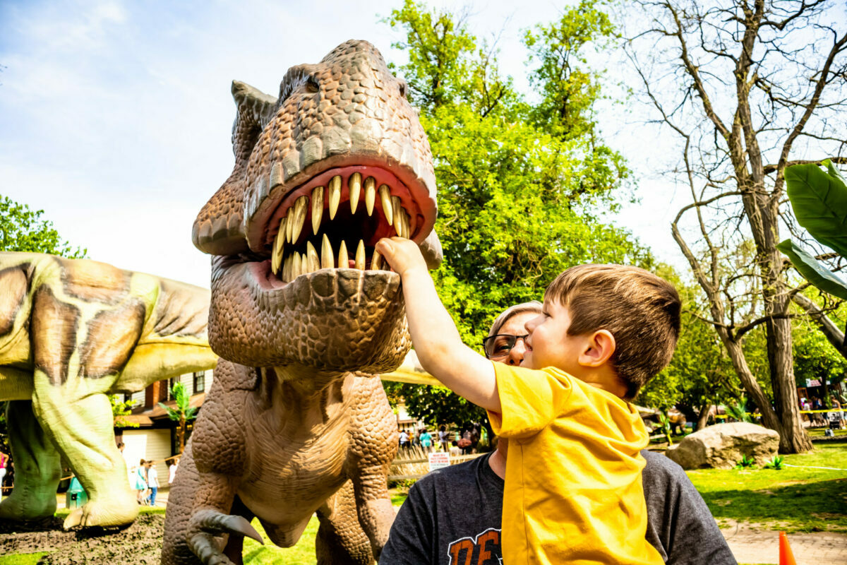 Dino and Dragon Stroll