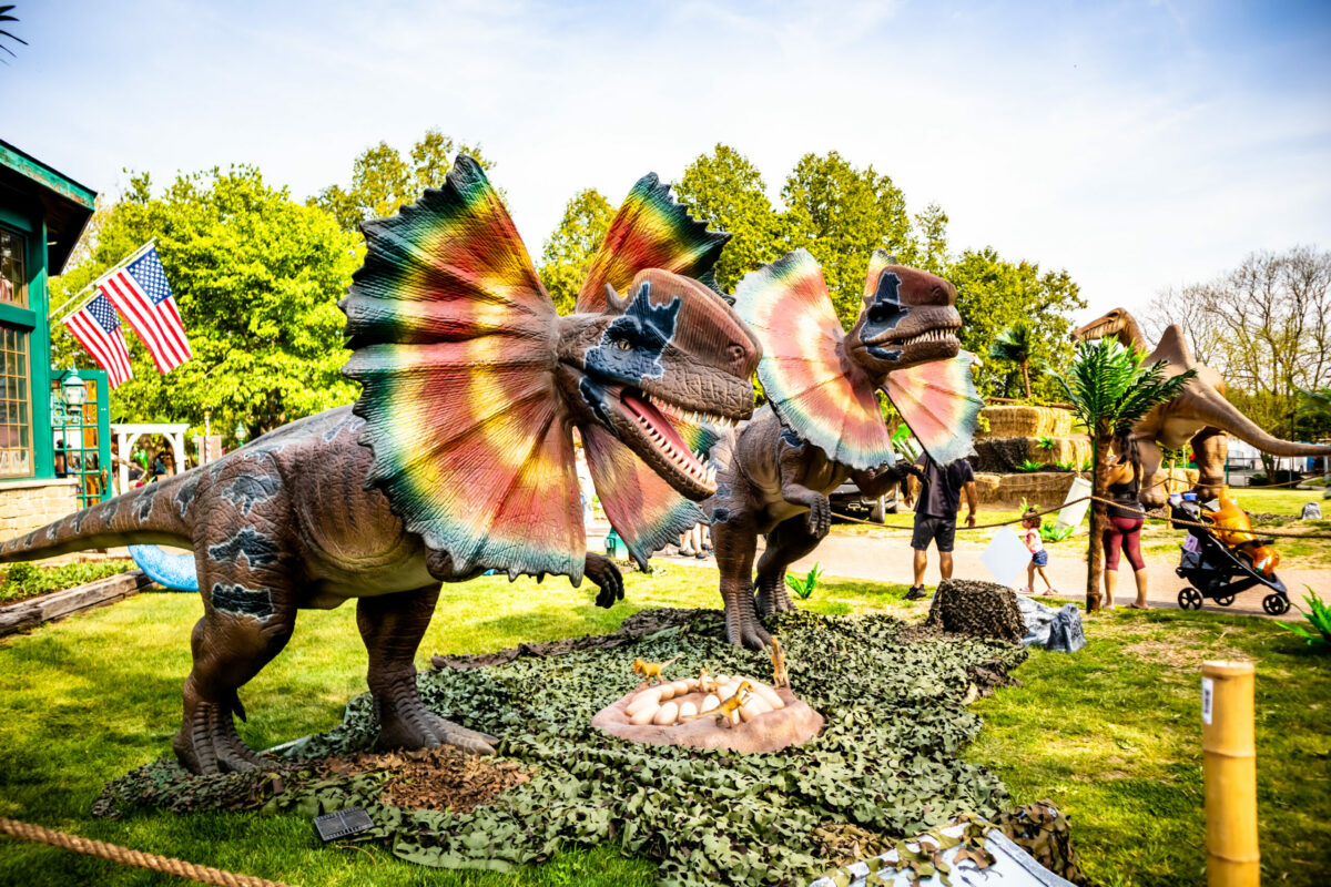 Dino and Dragon Stroll