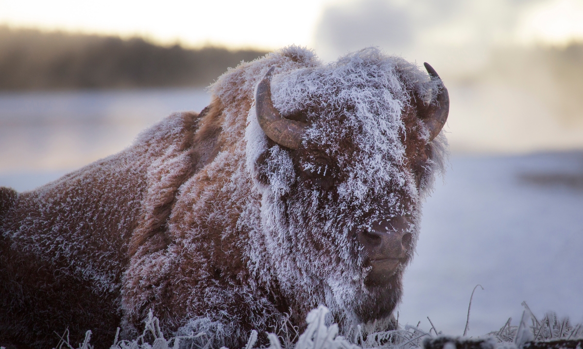 Winter in Big Sky, Montana