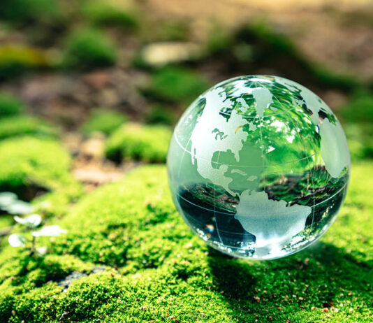 Earth Day Cleanup at Wilder Branch Earth Day