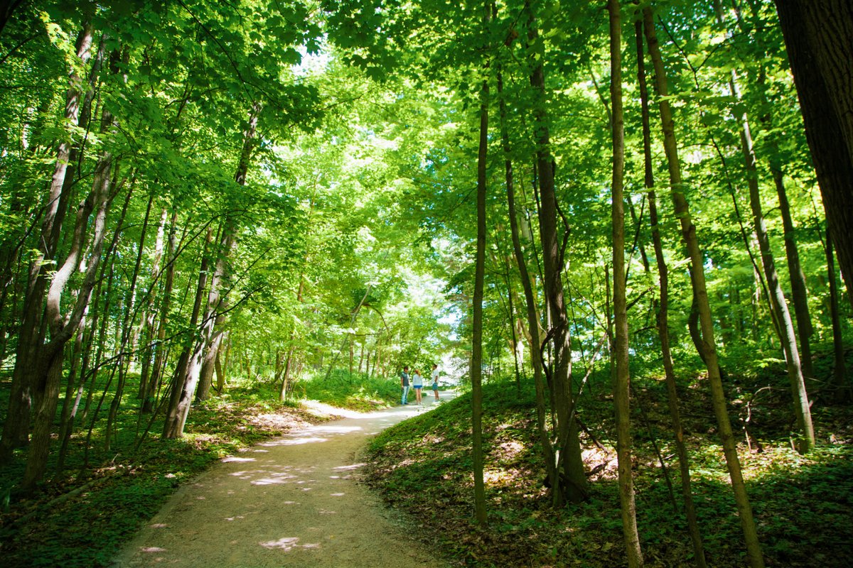 Holland Michigan Trees and Greenery during the Warmer Months