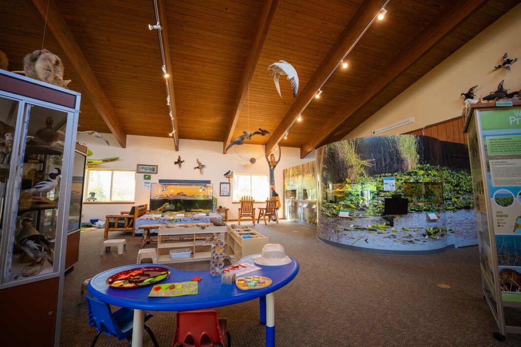 Interactive exhibit room with wildlife displays and educational play tables at Lake St. Clair Nature Center, one of the top nature centers in Macomb County.