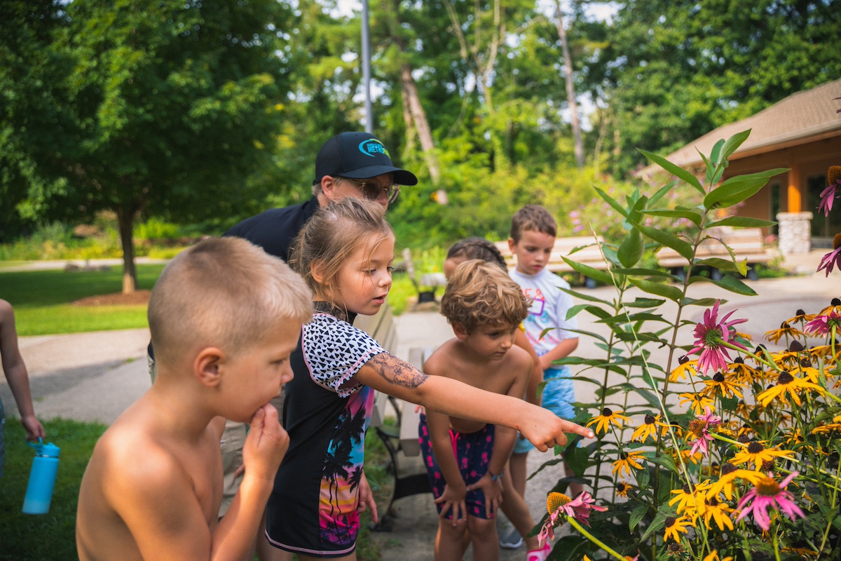 Children exploring wildflowers and observing pollinators during an outdoor educational activity at Stony Creek Nature Center in Macomb County.