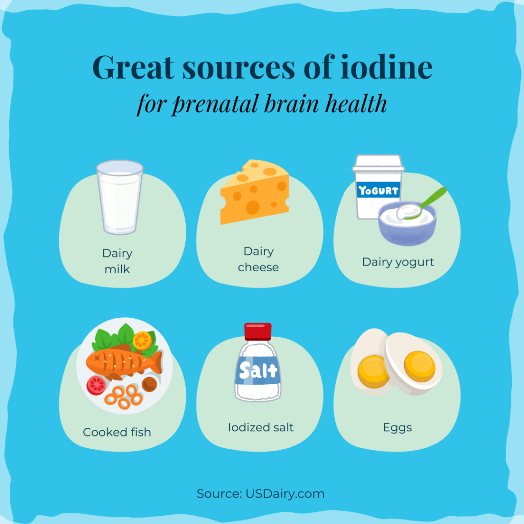 pregnancy diet foods for prenatal brain health, iodine