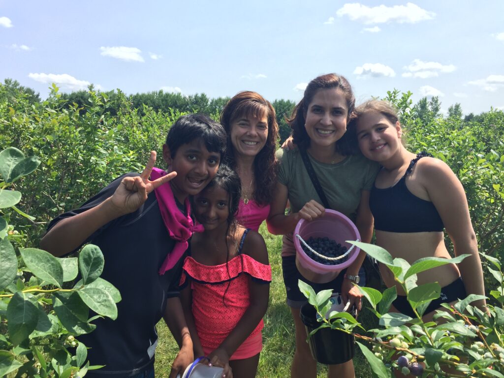 blueberry farms near detroit