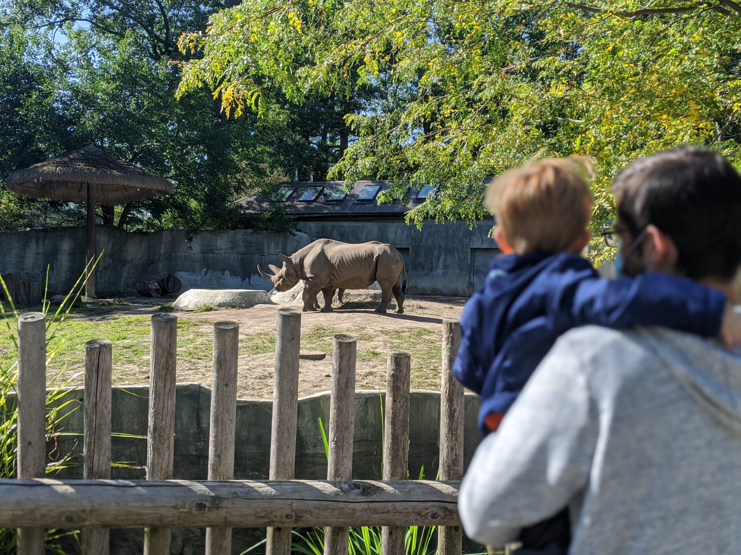 Potter Park Zoo at Lansing