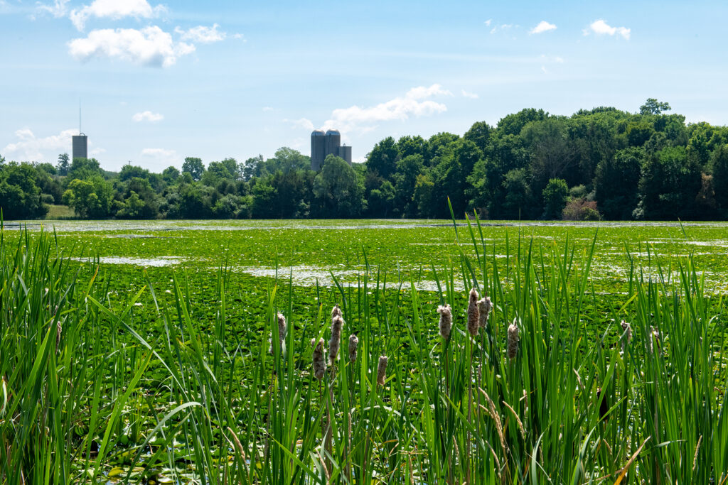 michigan state parks
