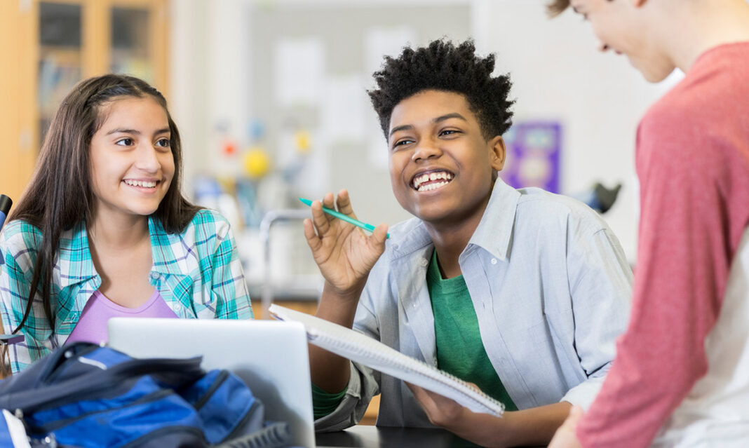 Most Diverse School Districts in Oakland County