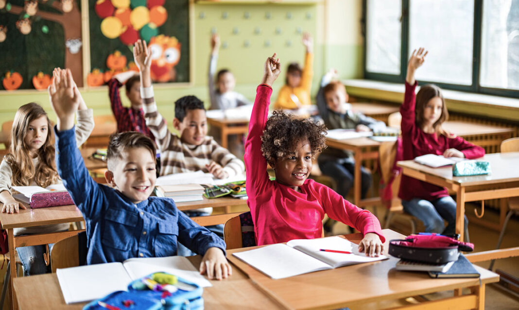 Most Diverse School Districts in Wanye County