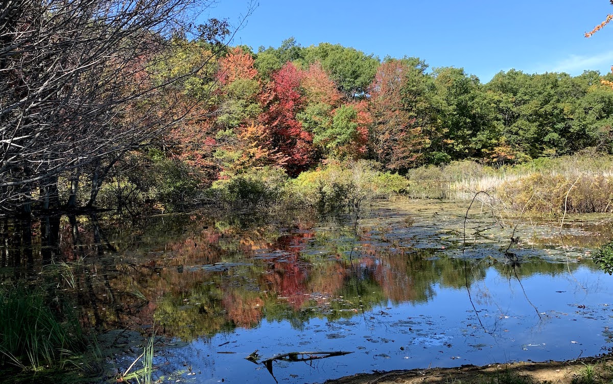 muskegon-state-park-in-fall-beauty