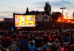 Outdoor Movies Metro Detroit