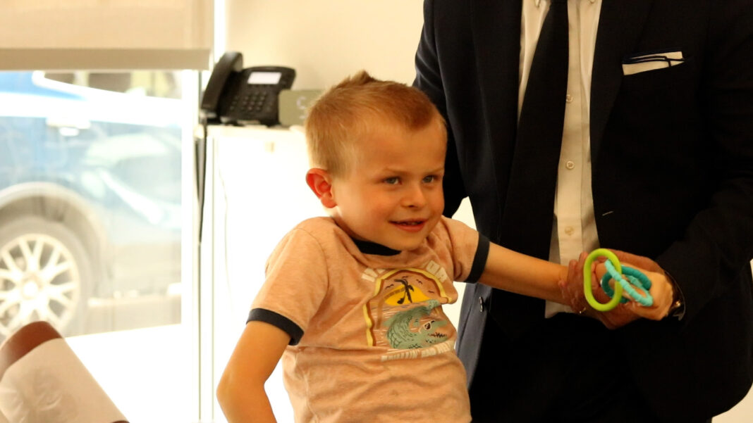 Functional neurology