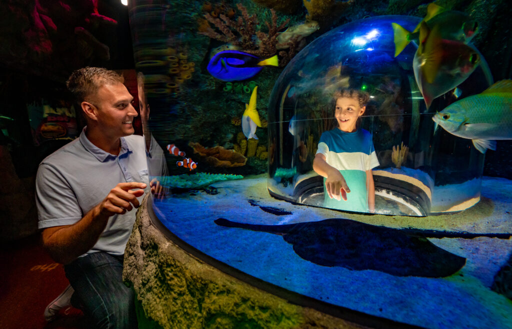 Sealife michigan aquarium with kids