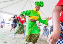 African World Festival Detroit