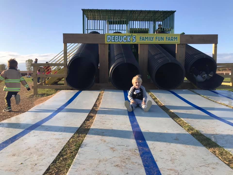 pumpkin patches in metro detroit