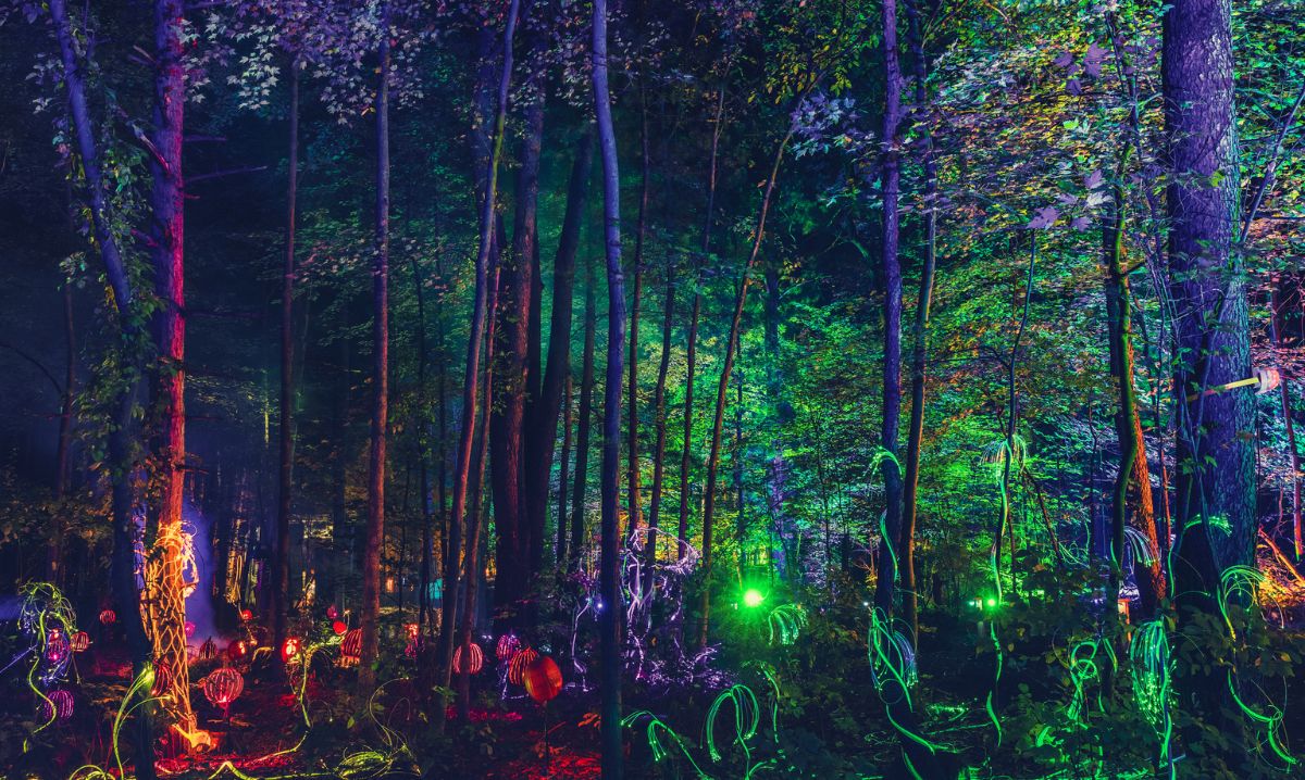 Enchanted Glenlore Trails