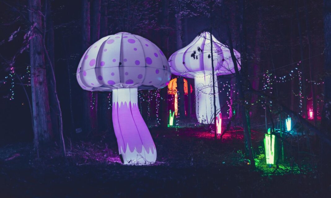 Enchanted Glenlore Trails