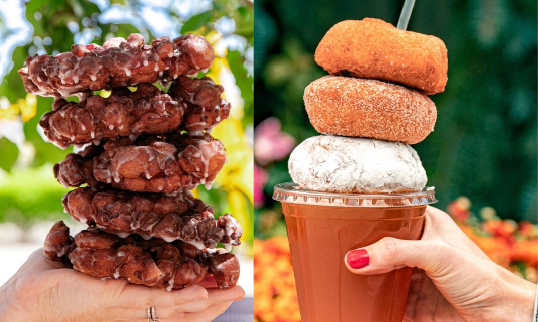 best fall treats metro detroit